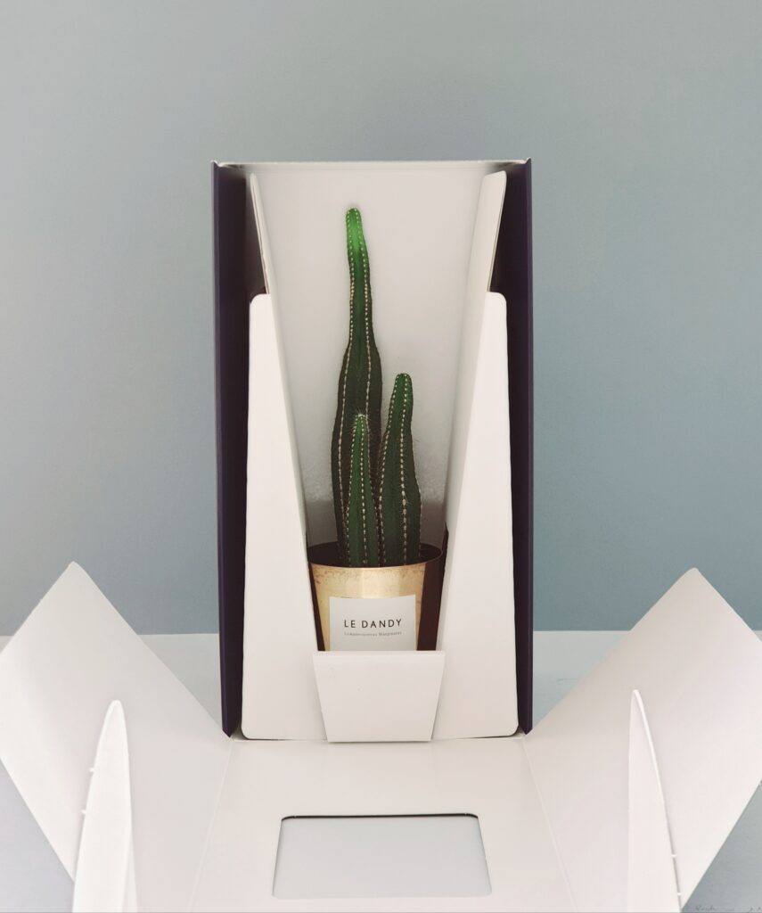 📷 le Dandy x Packitoo